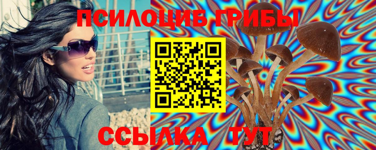 Десногорск  Галлюциногенные грибы Psilocybe  где купить наркоту  Псилоцибиновые грибы мицелий  Вход с VPN 